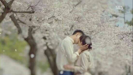 Yeojwacheon Romance Bridge 여좌천 로망스 다리