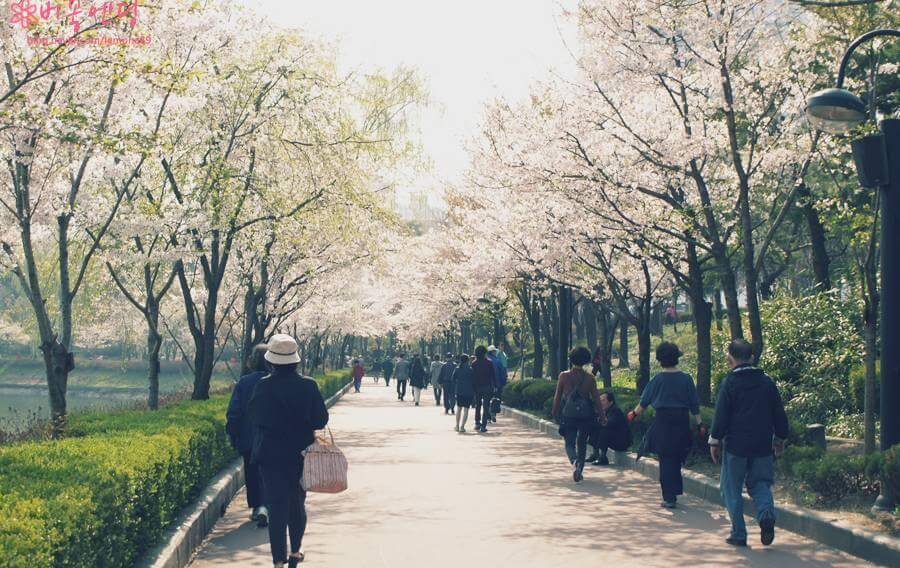Seokchon Lake Park 석촌호수공원