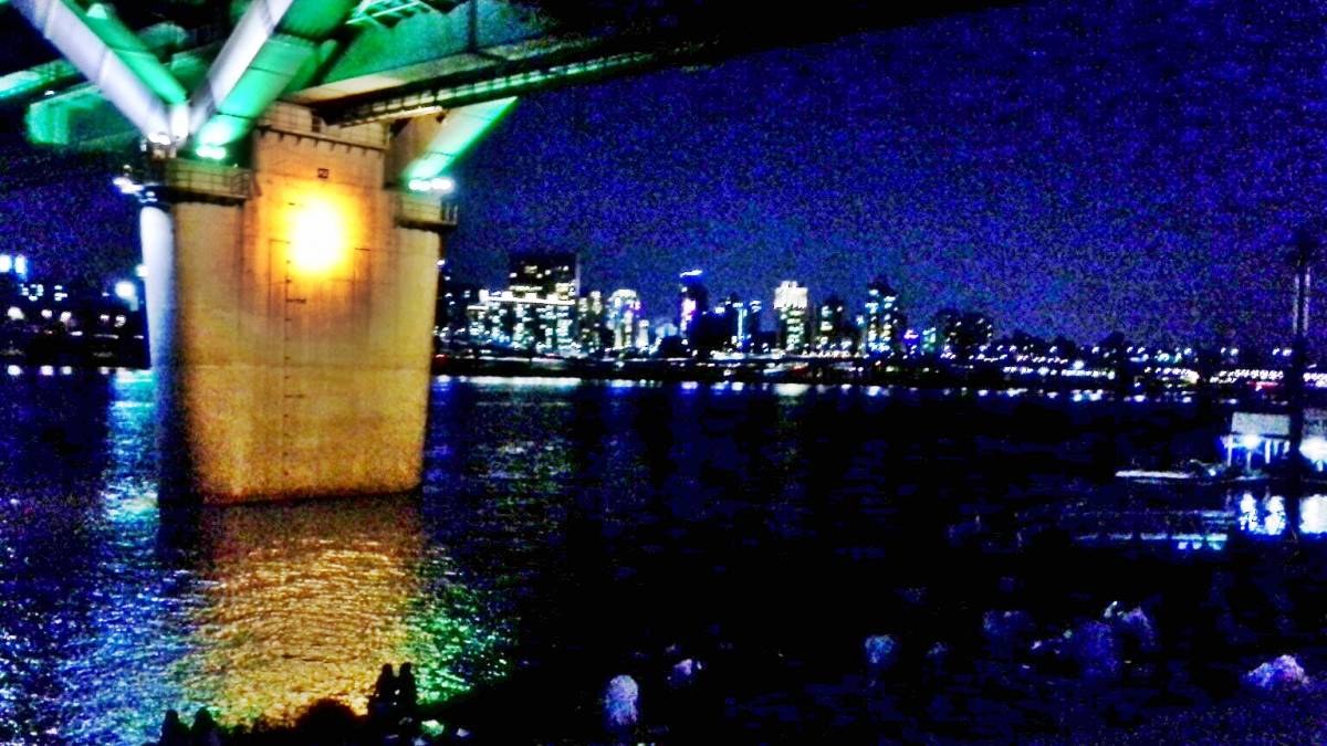 Ttukseom Hangang Park 뚝섬한강공원