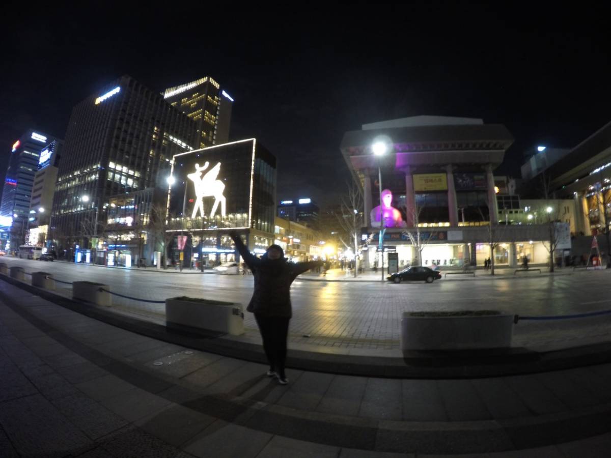 Gwanghwamun Square 광화문 광장