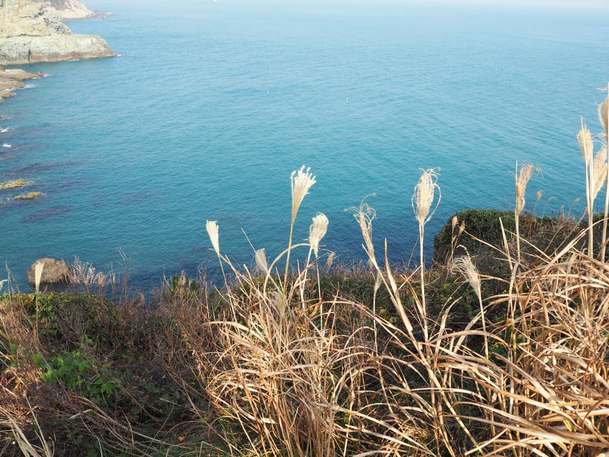 Oryukdo Skywalk 오륙도 스카이워크