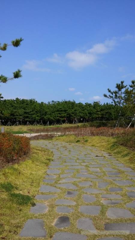 Dadaepo Beach 다대포해수욕장