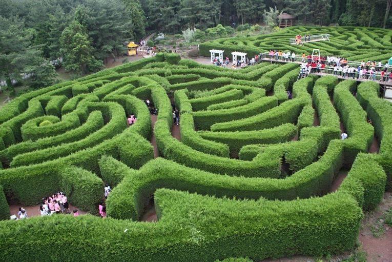 Gimnyeong Maze Park (김녕미로공원)