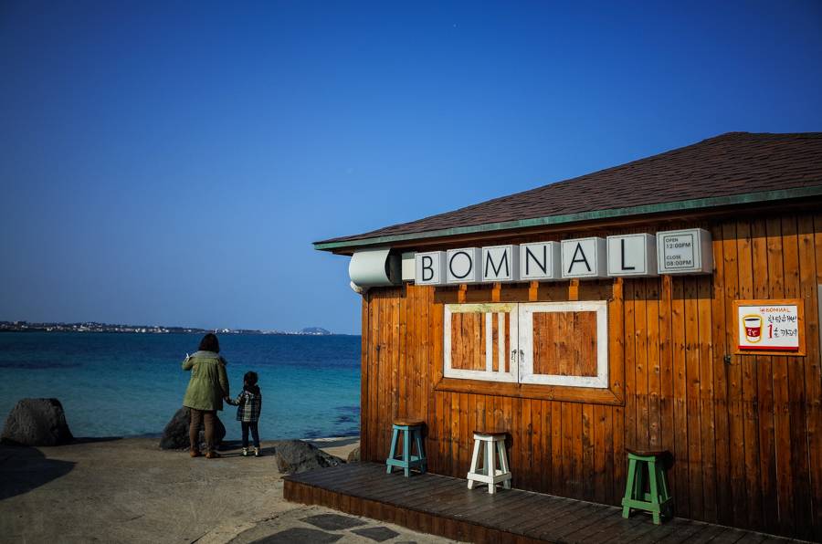 Cafe & Guesthouse Bomnal 카페 & 게스트하우스 봄날