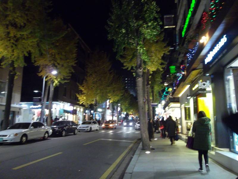 Garosugil (Sinsadong) 가로수길