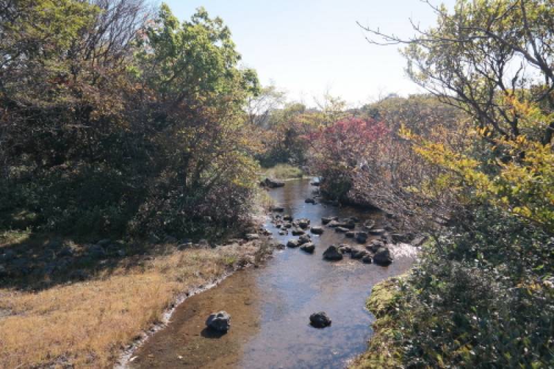 1,100 High Ground 천백고지