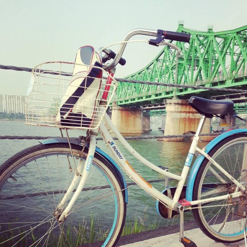 Ichon Hangang Park 이촌한강공원