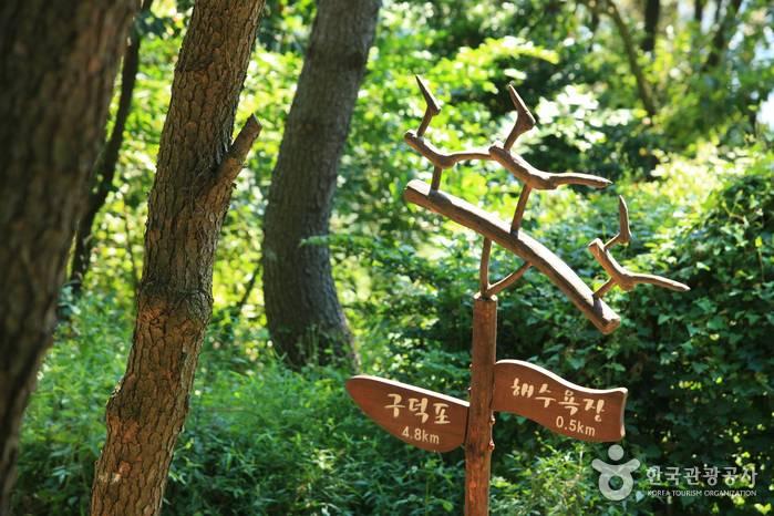 Dalmaji Hill 해운대 달맞이길