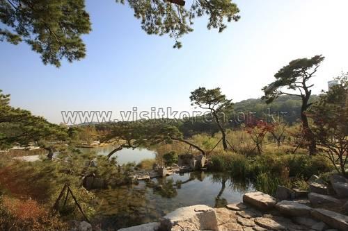 Dream Forest 북서울 꿈의 숲