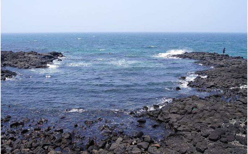 Ungjangmaecogi 엉장매코지