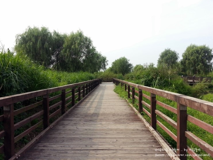 Gangseo Hangang Park 강서 한강공원