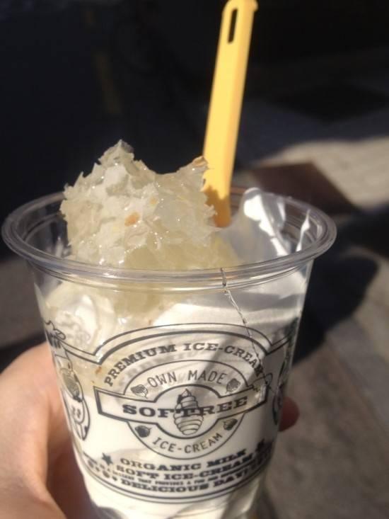 Softree Hongdae 소프트리 홍대