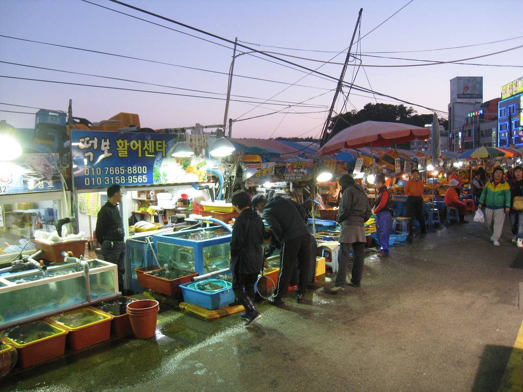 Daepohang Port 대포항