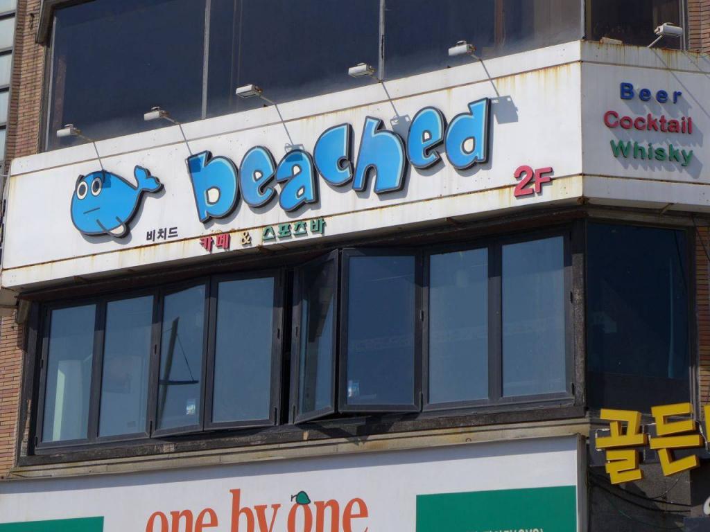 Beached Cafe 비치드 카페