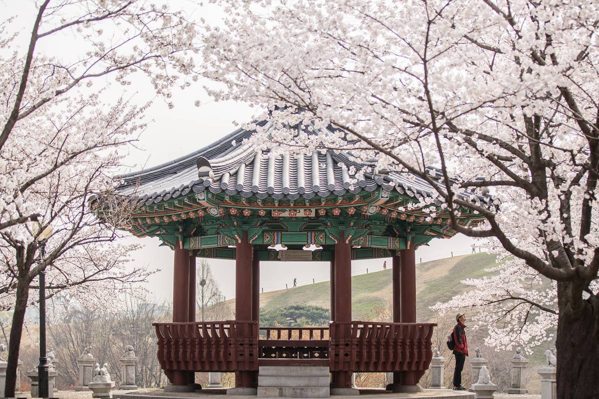 Bugak Palgakjeong (Octagonal Pavilion) 북악 팔각정