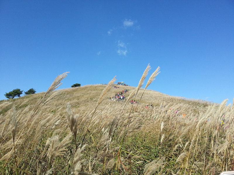 Mindungsan Mountain 민둥산