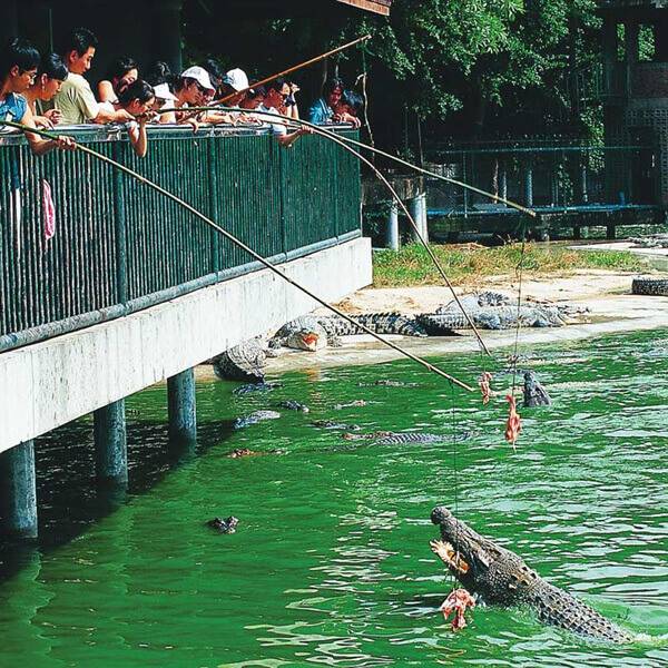 The Million Years Stone Park & Pattaya Crocodile Farm