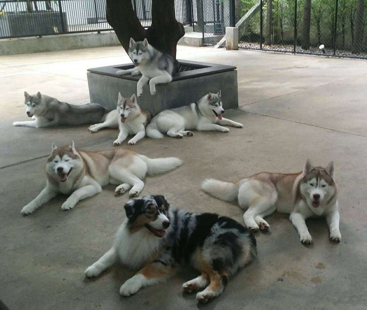 True Love Cafe Neverland Trazy Your Travel Shop For Asia