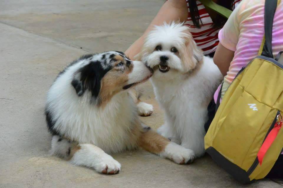 True Love Cafe @Neverland