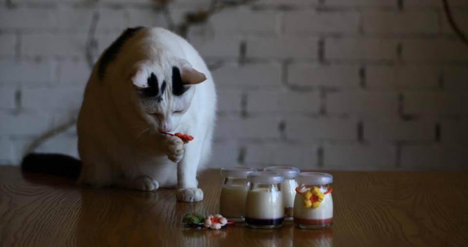 Cafe General Doctor 제너럴닥터