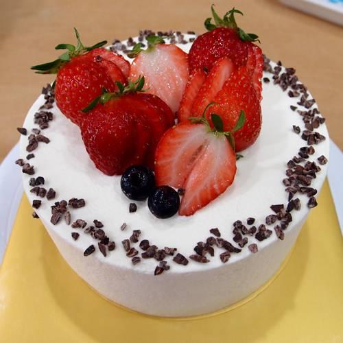 Lovely Choco 러블리초코