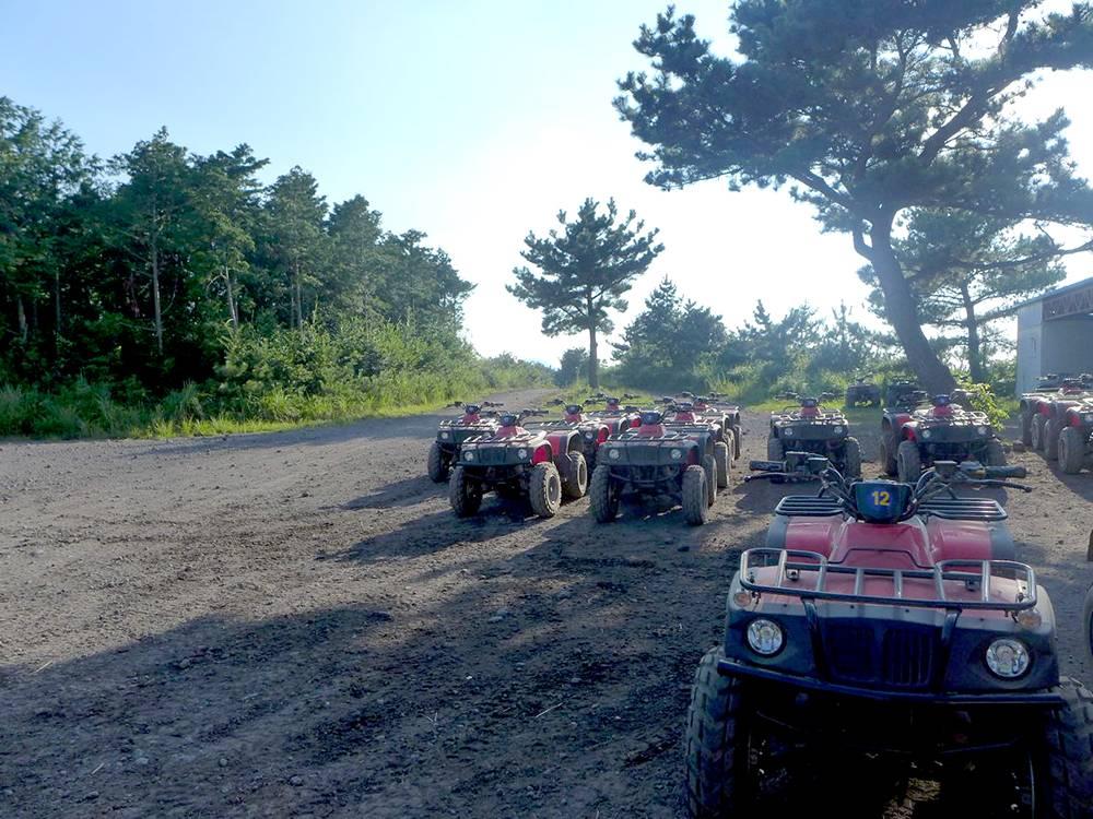 Daeyoo Land 대유랜드