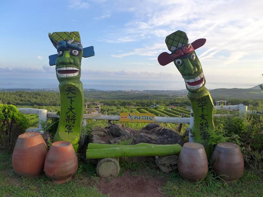 Jeju Green Tea Maze Park 제주녹차미로공원