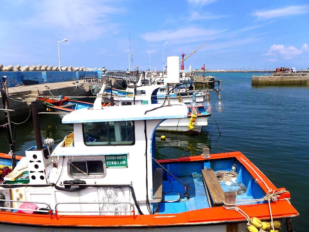 Iho Teolbo Bae Naksi (Boat Fishing) 이호털보 배낚시