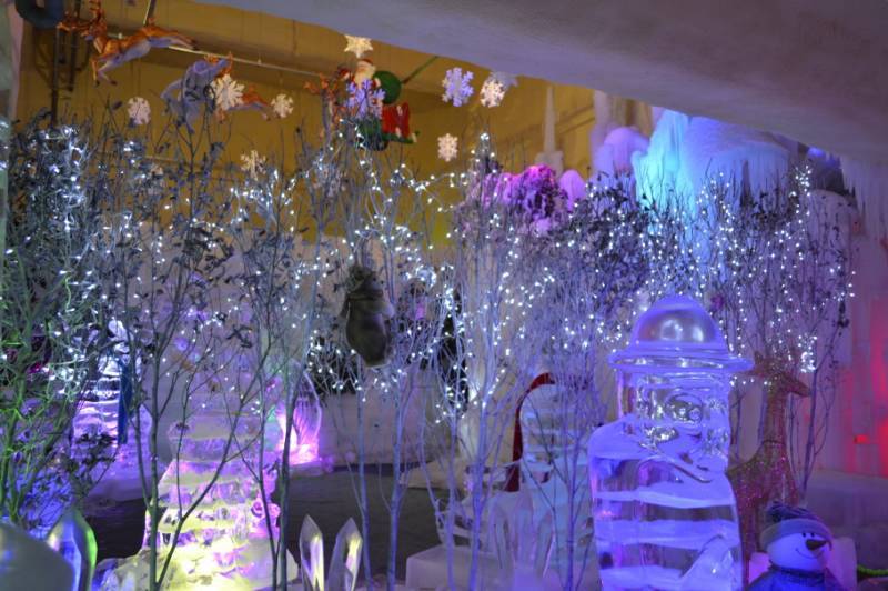 Sumokwon Theme Park 수목원 테마파크