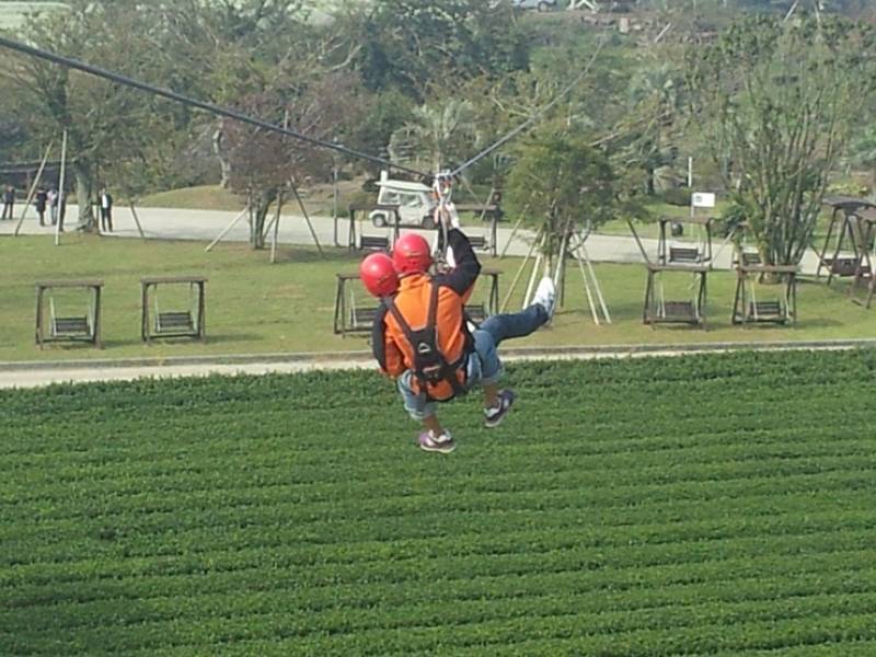 Jeju Zipline 제주 짚라인