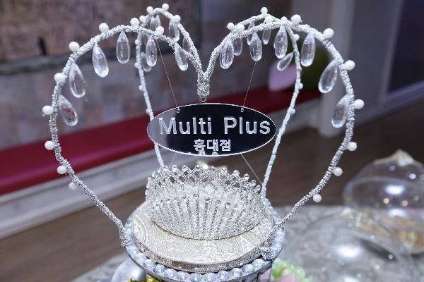 Multi Plus 멀티 플러스