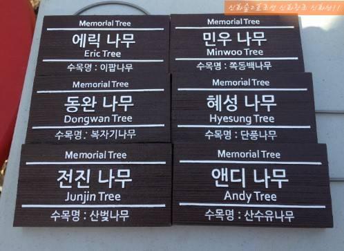 Shinhwa Forest2 신화숲 2호