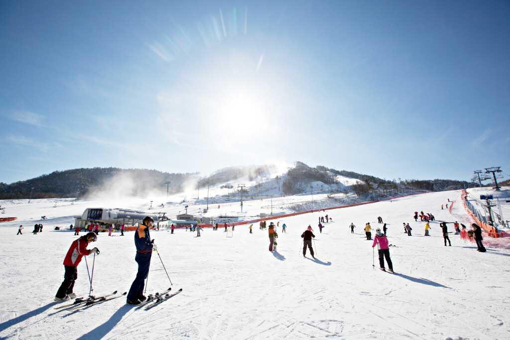 Alpensia Ski Resort 알펜시아 리조트