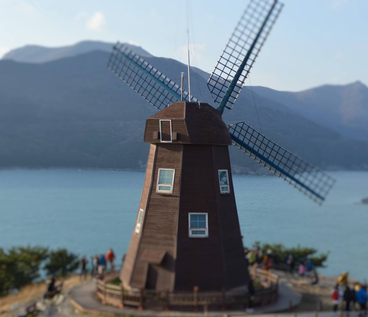 Windy Hill 바람의 언덕