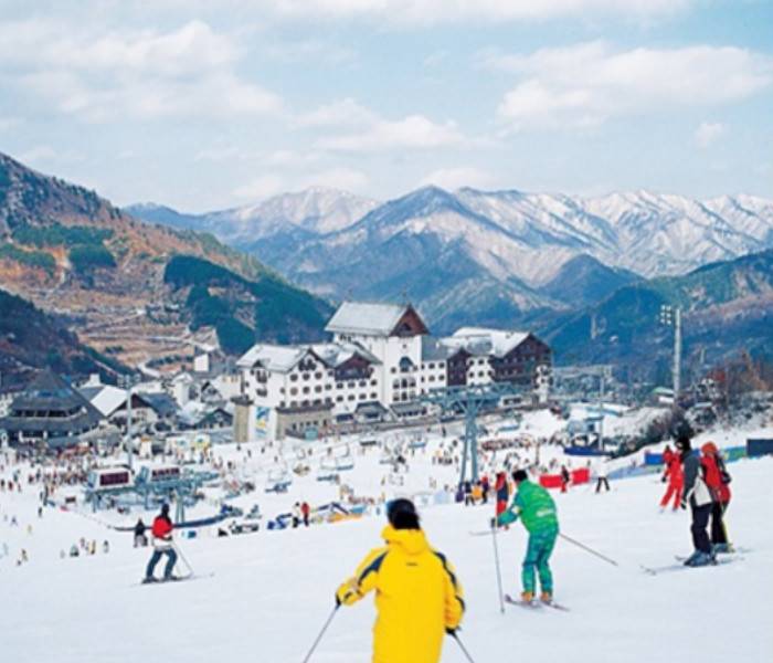 Yangji Pine Ski Resort 양지파인리조트