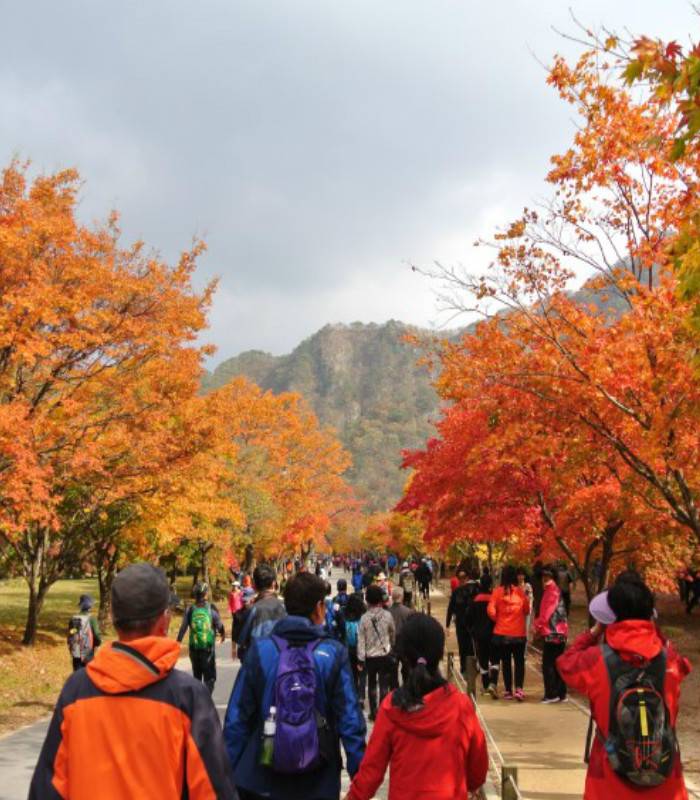 Naejangsan National Park 내장산 국립공원