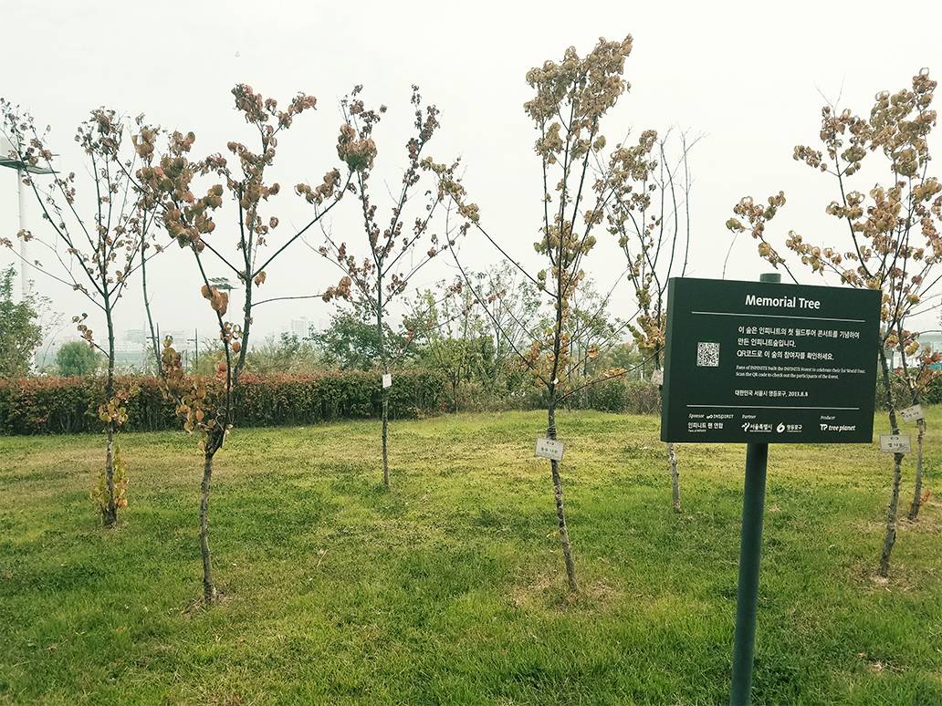 Infinite Forest (Memorial Tree)